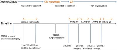 Successful Treatment of a Patient With Brain Metastasis From Ovarian Cancer With BRCA Wild Type Using Niraparib: A Case Report and Review of the Literature